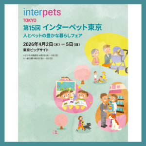 ブルー　黄色　ストライプ　幾何学　イラスト　SNS運用　セミナー　Instagramの投稿 (1)