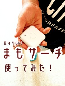 mamosearch303-1