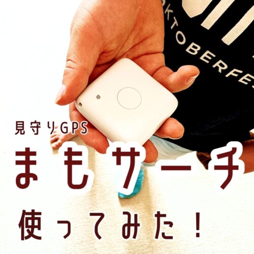 mamosearch303-1