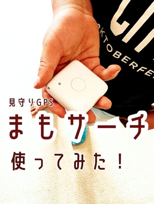 mamosearch303-1
