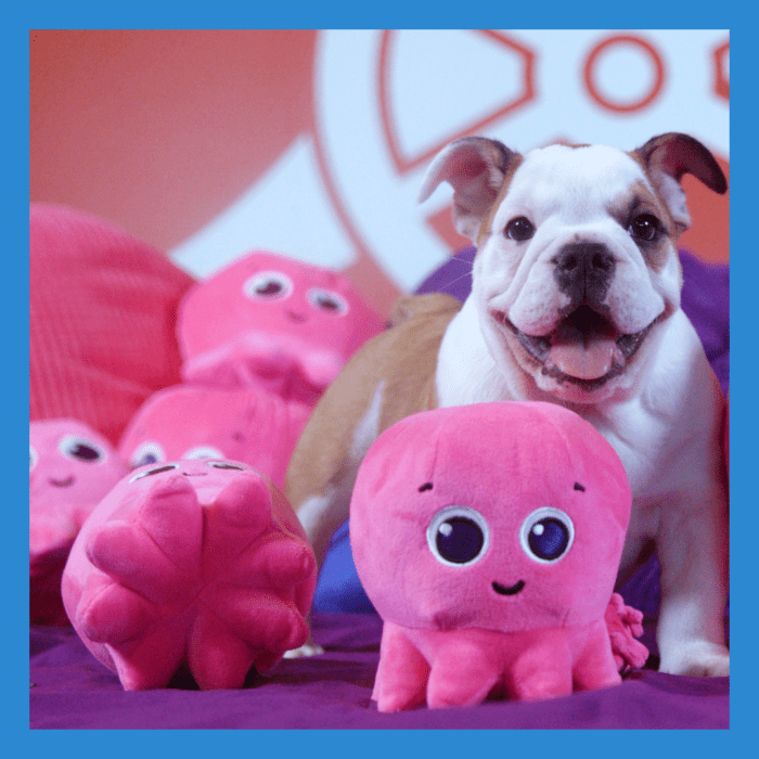 ⒸWORLD SCAN PROJECT、 Ⓒミステリー・オブ・ツタンカーメン