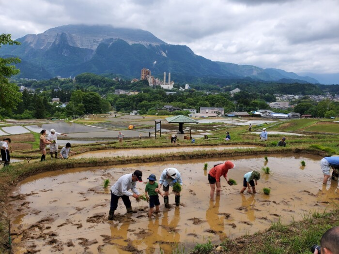 横瀬町田植え体験