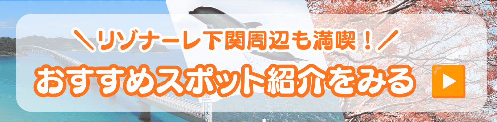 おすすめ情報バナー