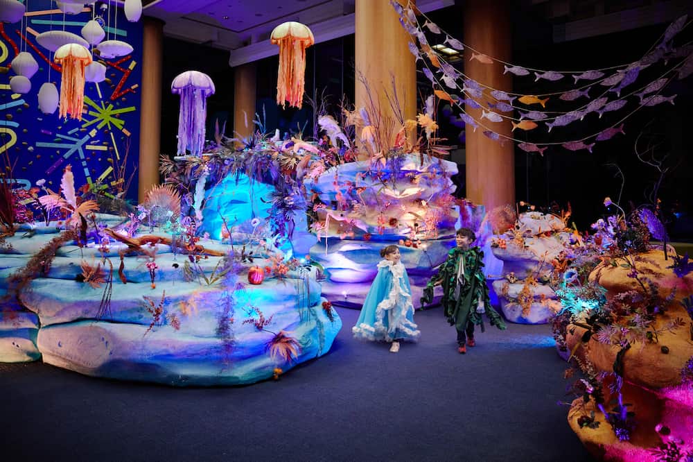 宿泊券プレゼント【リゾナーレ熱海】海のいきものハロウィン（子供） (1)